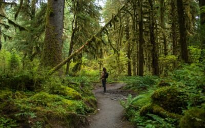 a woman walking on a path in a forest